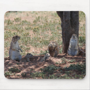 Prairie Hond Familie Muismat