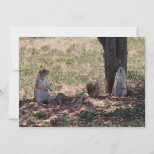 Prairie Hond Familie Notitiekaartje
