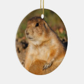 prairie hond is vol keramisch ornament (Rechts)