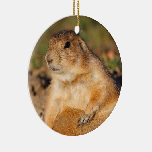 prairie hond is vol keramisch ornament (Rechts)