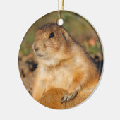 prairie hond is vol keramisch ornament (Links)