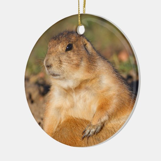 prairie hond is vol keramisch ornament (Links)