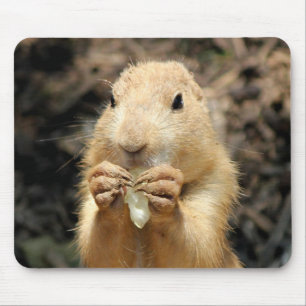 Prairie Hond Met Een Snack Muismat