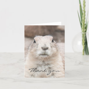 Prairie hond portret Dank u Bedankkaart