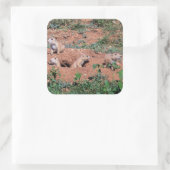 Prairie Hond Pups Vierkante Sticker (Tas)