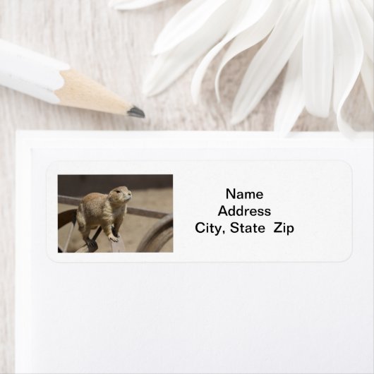 Prairie hond retour adres label (Insitu)