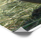 PRAIRIE HONDEN DIE LANGEN POSTER (Hoek)