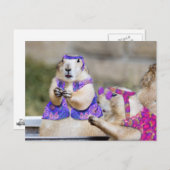 Prairie Honden zijn GROOVY! Briefkaart (Voorkant / Achterkant)