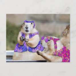 Prairie Honden zijn GROOVY! Briefkaart