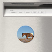 Prairie Horse Magneet (Insitu (Vaatwasser))