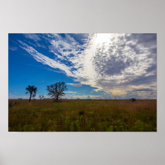 Prairie, Kissimmee Prairie Preserve State Park, FL Poster (Voorkant)