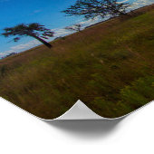 Prairie, Kissimmee Prairie Preserve State Park, FL Poster (Hoek)