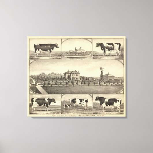 Prairie Lawn Boerderij, Nebraska Canvas Afdruk (Voorkant)