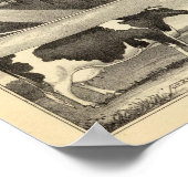 Prairie Lawn Boerderij, Nebraska Poster (Hoek)