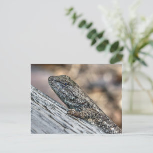 Prairie Lizard Briefkaart