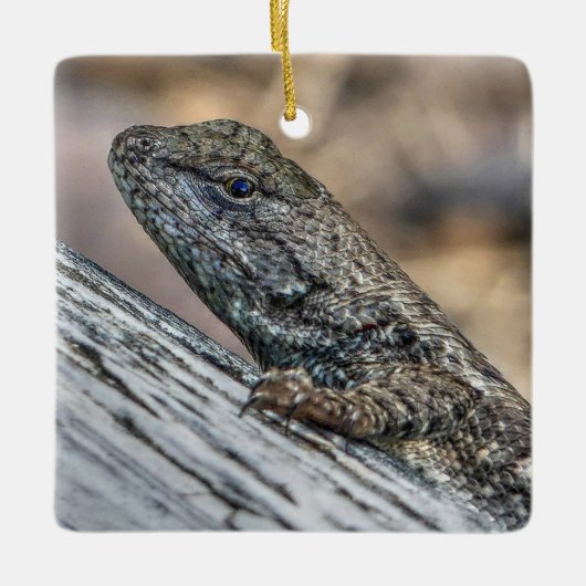 Prairie Lizard Keramisch Ornament (Voorkant)