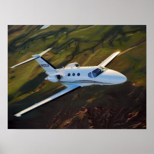 Prairie Mustang Poster (Voorkant)