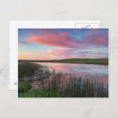 Prairie Pond reflecteert briljante zonneschermen Briefkaart (Voorkant / Achterkant)