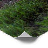 Prairie Pond reflecteert briljante zonnewolken Poster (Hoek)