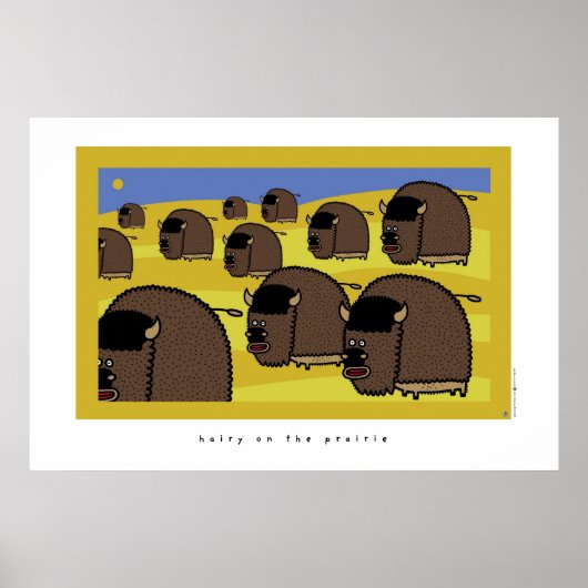 prairie poster (Voorkant)