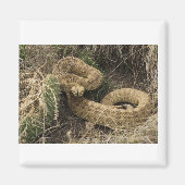 Prairie ratlesnake met cactus magneet (Voorkant)