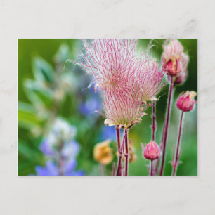 Prairie rokerwild in de Aspen Grove 2 Briefkaart