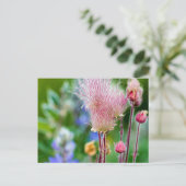 Prairie rokerwild in de Aspen Grove 2 Briefkaart (Staand voorkant)