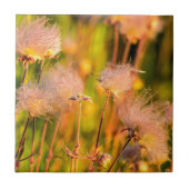 Prairie rokerwild in de Aspen Grove Tegeltje (Voorkant)