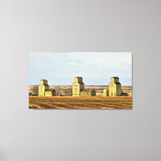 Prairie Sentinels Mossleigh Alberta Canvas Print (Voorkant)