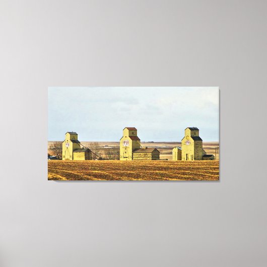 Prairie Sentinels Mossleigh Alberta Canvas Print (Voorkant)