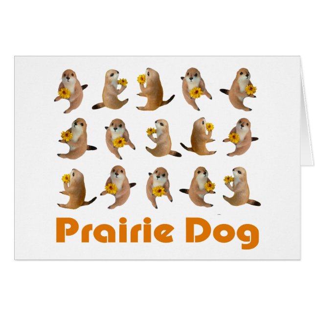 prairie speelgoed (Voorkant Horizontaal)