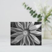 Prairie Sun Rudbeckia B&W Briefkaart (Staand voorkant)