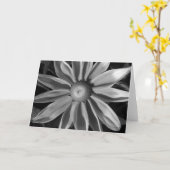 Prairie Sun Rudbeckia B&W Kaart (Gele Bloem)