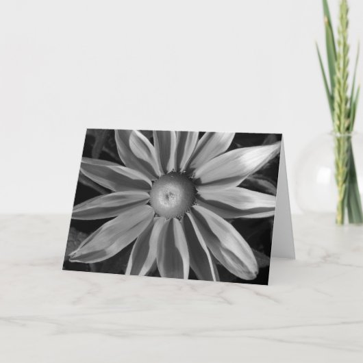 Prairie Sun Rudbeckia B&W Kaart (Voorkant)