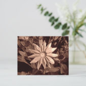 Prairie Sun Rudbeckia - Sepia Briefkaart (Staand voorkant)