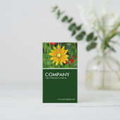 Prairie Sun Rudbeckia Visitekaartje (Staand voorkant)