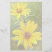 Prairie Sunflower - Helianthus maximilianii Briefpapier (Voorkant)