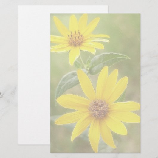 Prairie Sunflower - Helianthus maximilianii Briefpapier (Voorkant / Achterkant)