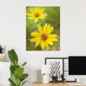 Prairie Sunflower - Helianthus maximilianii Poster (Thuiskantoor)