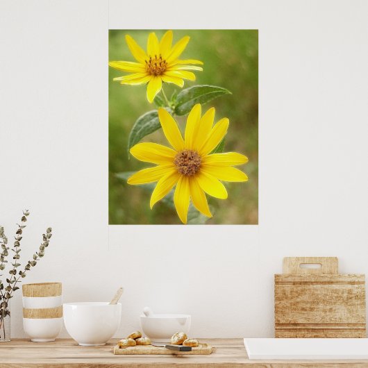 Prairie Sunflower - Helianthus maximilianii Poster (Keuken)