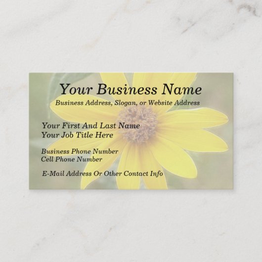 Prairie Sunflower - Helianthus maximilianii Visitekaartje (Voorkant)