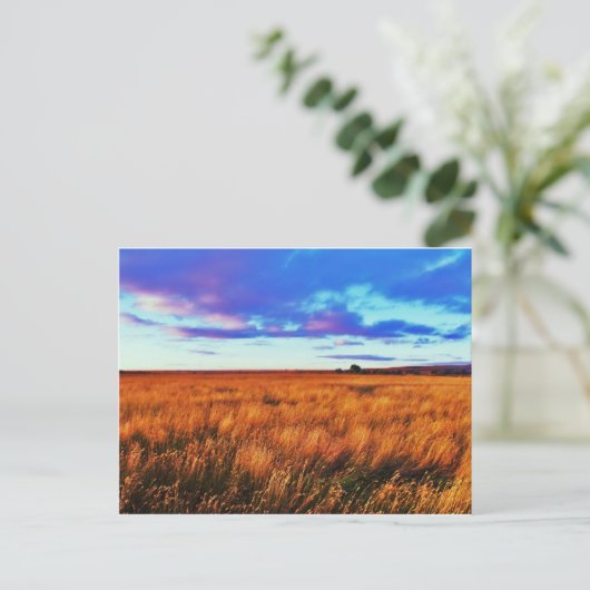 Prairie Sunset Briefkaart (Staand voorkant)