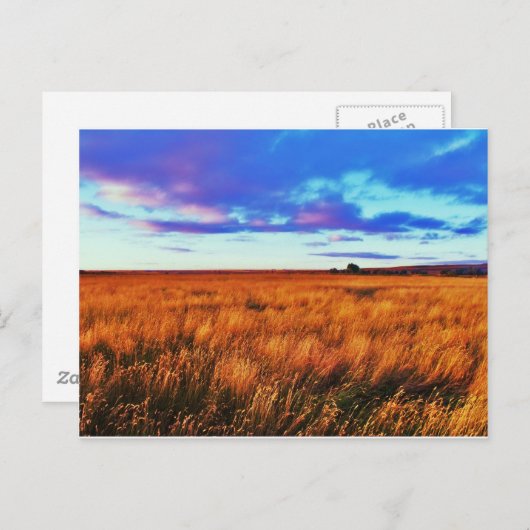 Prairie Sunset Briefkaart (Voorkant / Achterkant)
