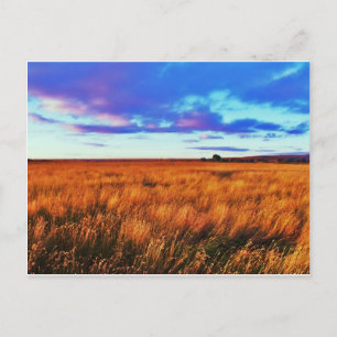 Prairie Sunset Briefkaart