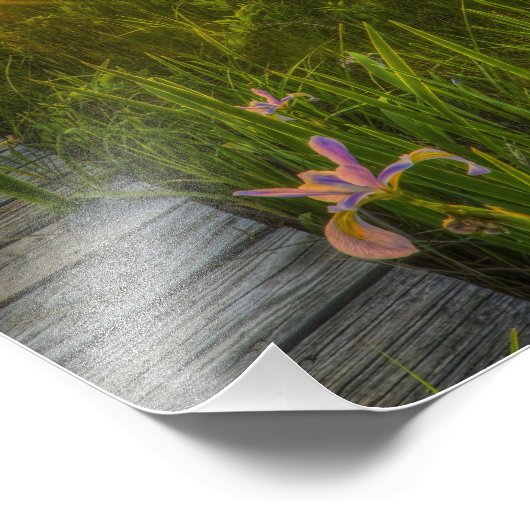 Prairie Sunset Foto Afdruk (Hoek)