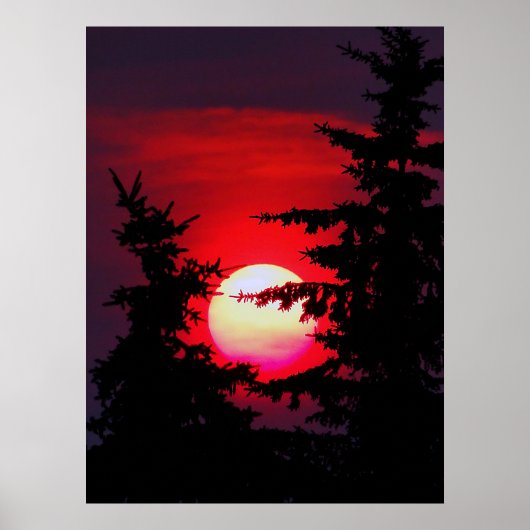 Prairie Sunset Poster (Voorkant)