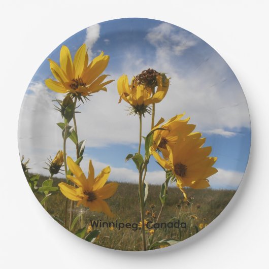Prairie Sunset round paper plate Papieren Bordje (Voorkant)