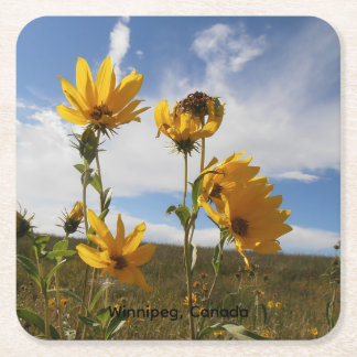 Prairie Sunset square paper coaster Kartonnen Onderzetters
