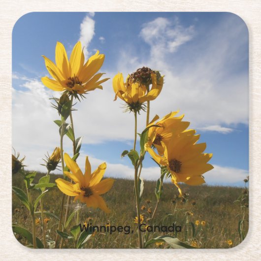Prairie Sunset square paper coaster Kartonnen Onderzetters (Voorkant)