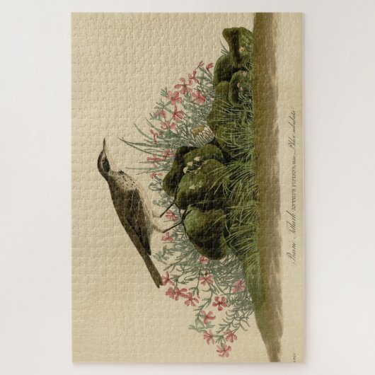 Prairie Titlark (Pipit) Audubon's Birds of America Legpuzzel (Verticaal)